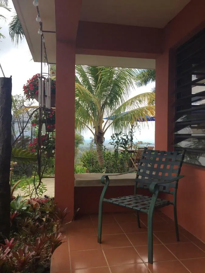 Bed & Breakfast El Pequeno Hotel Canovanas Puerto Rico