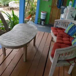 https://palmetto-guesthouse.top-hotels-puertorico.com